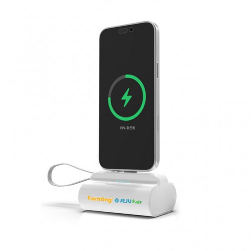 맥씨 도킹 보조배터리10000mAh